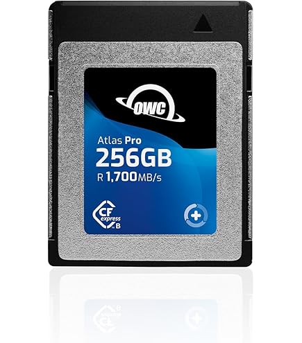 Amazon | Angelbird AV PRO SE CFexpress B v4 1TB - CFexpress 4.0
